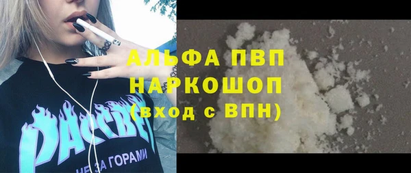 стаф Никольск