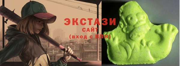 гидропоника Анжеро-Судженск