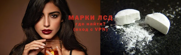 стаф Никольск