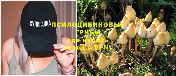 мяу мяу мука Алапаевск
