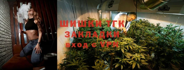 молекула духа Никольское