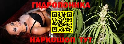 мдма Дубна