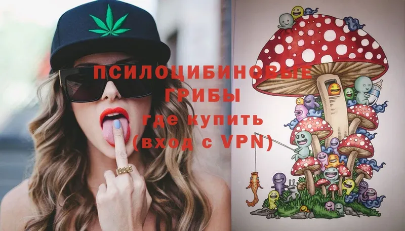 omg ССЫЛКА  купить наркотики цена  Шумерля  Псилоцибиновые грибы Psilocybe 