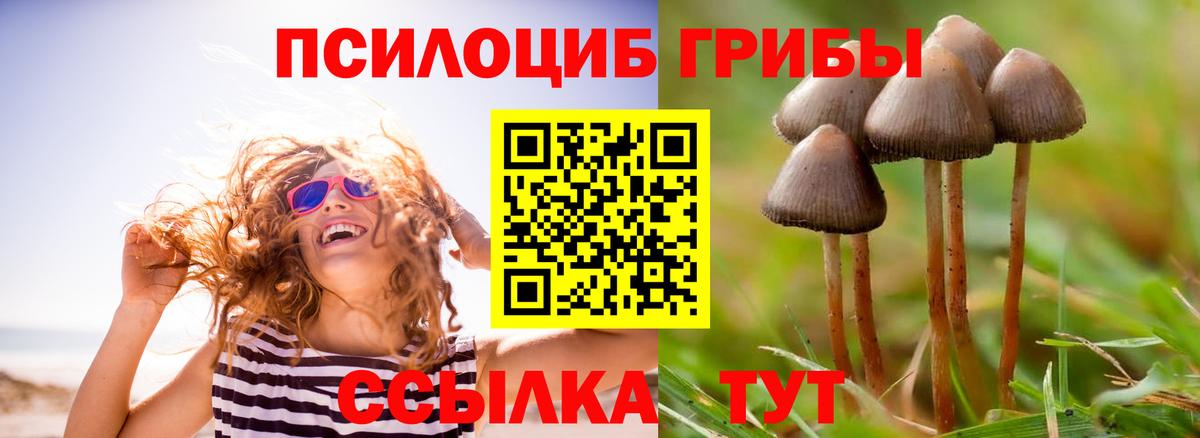Галлюциногенные грибы Cubensis Шумерля